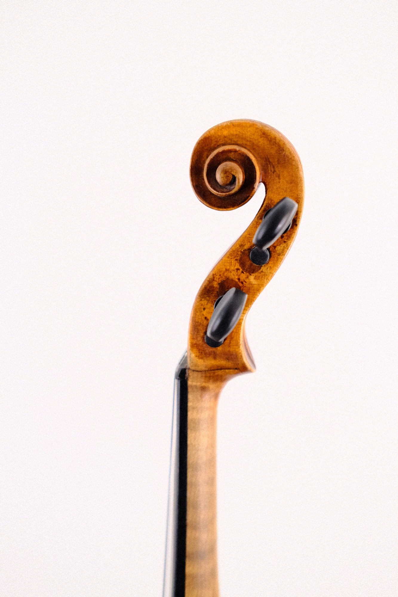 Andreas Morelli Violin - 4/4
