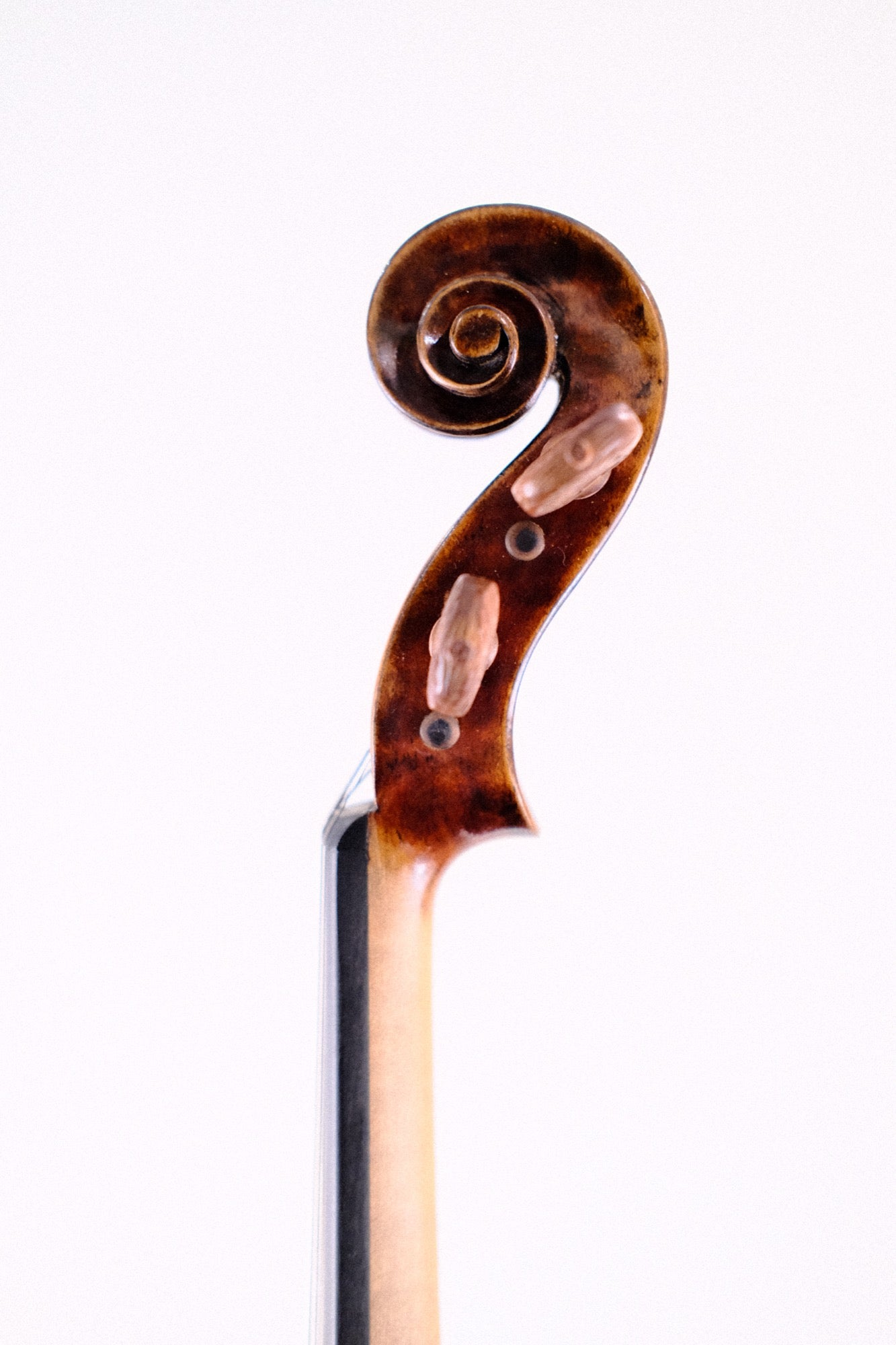 Delachaise 4/4 Violin with Carved Fittings