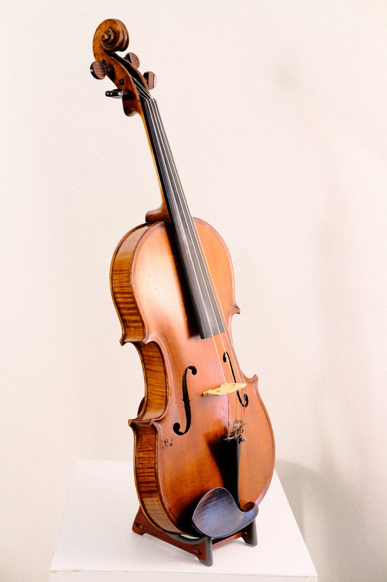 James Omand Viola ca. 1898 Scotland