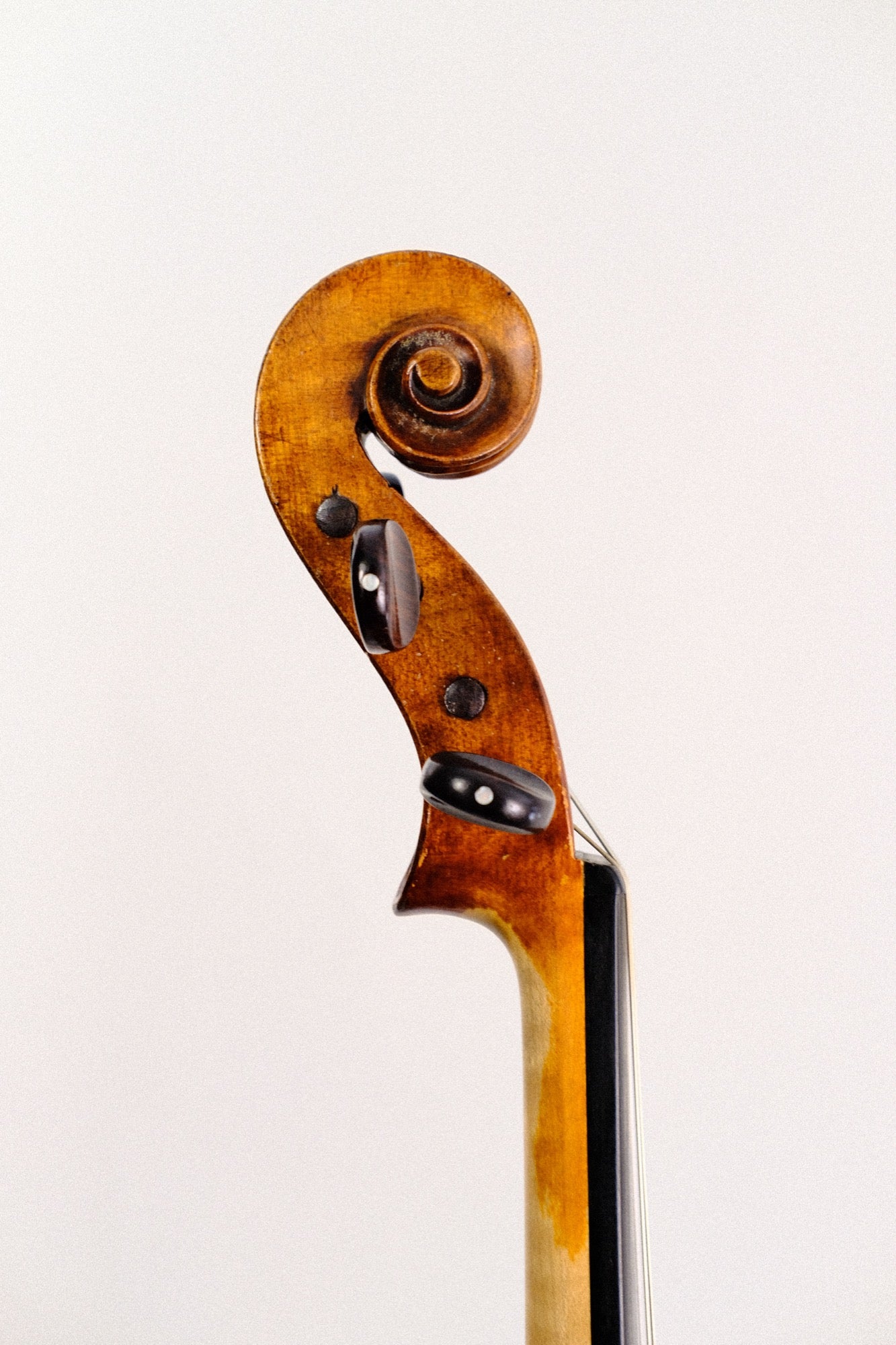 James Omand Viola ca. 1898 Scotland