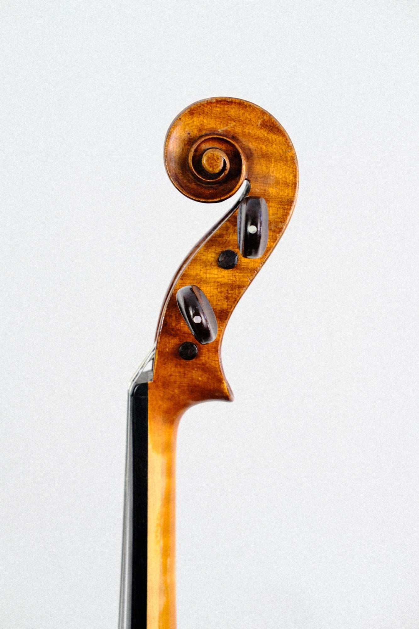 James Omand Viola ca. 1898 Scotland