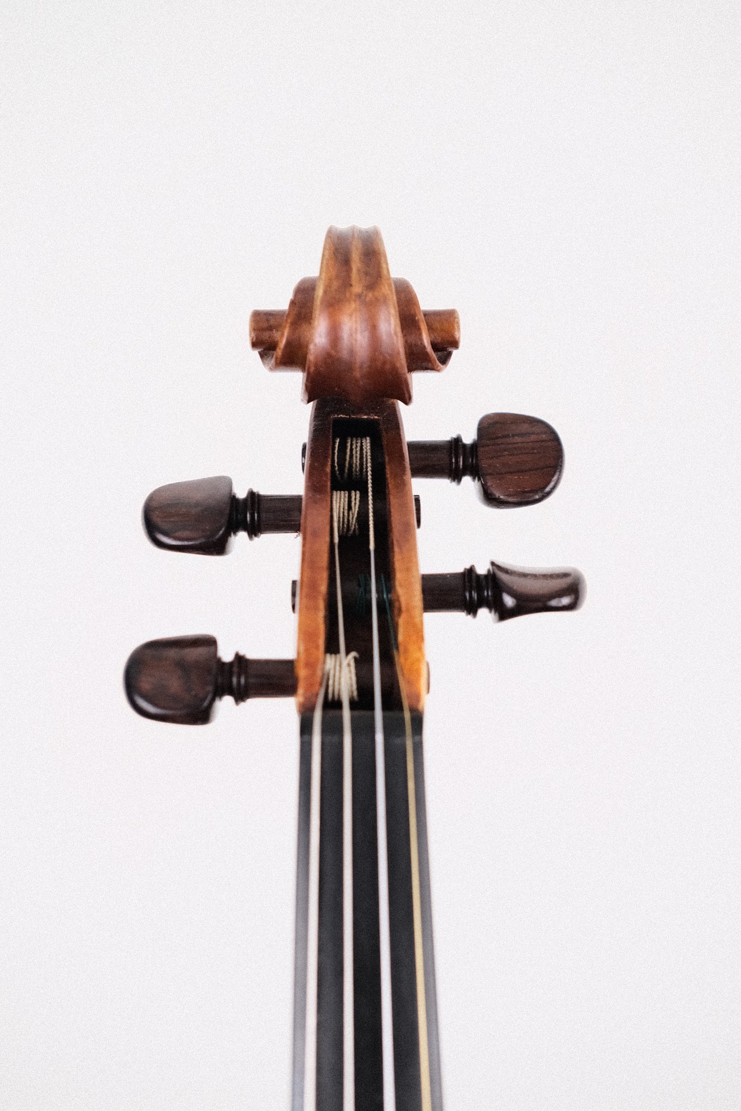 Violin labelled "Dehommais & Germain, a Paris 1892 - 4/4