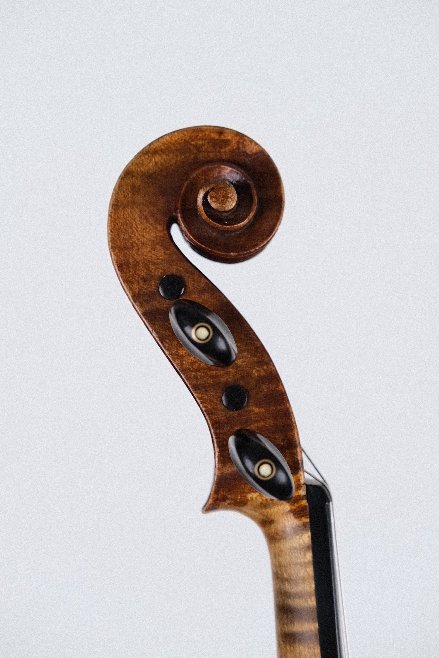 Violin labelled "Dehommais & Germain, a Paris 1892 - 4/4
