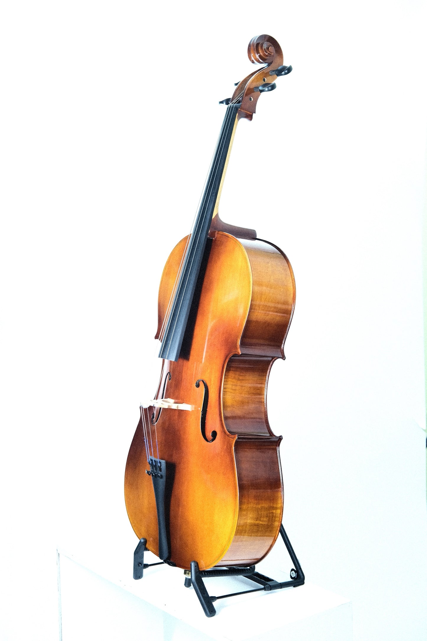 Baronne Cello - 4/4