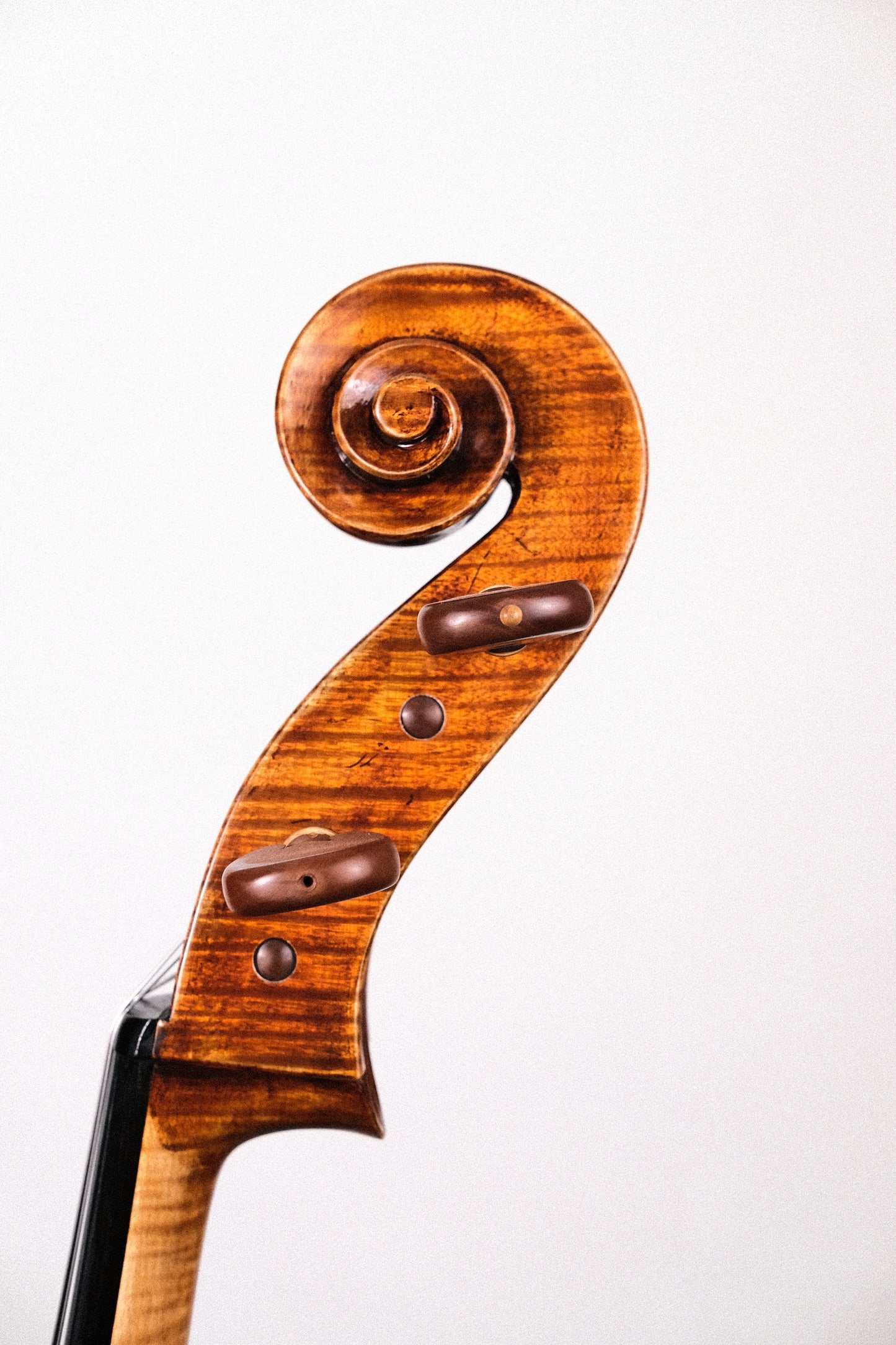 Raul Emiliani Cello - 4/4