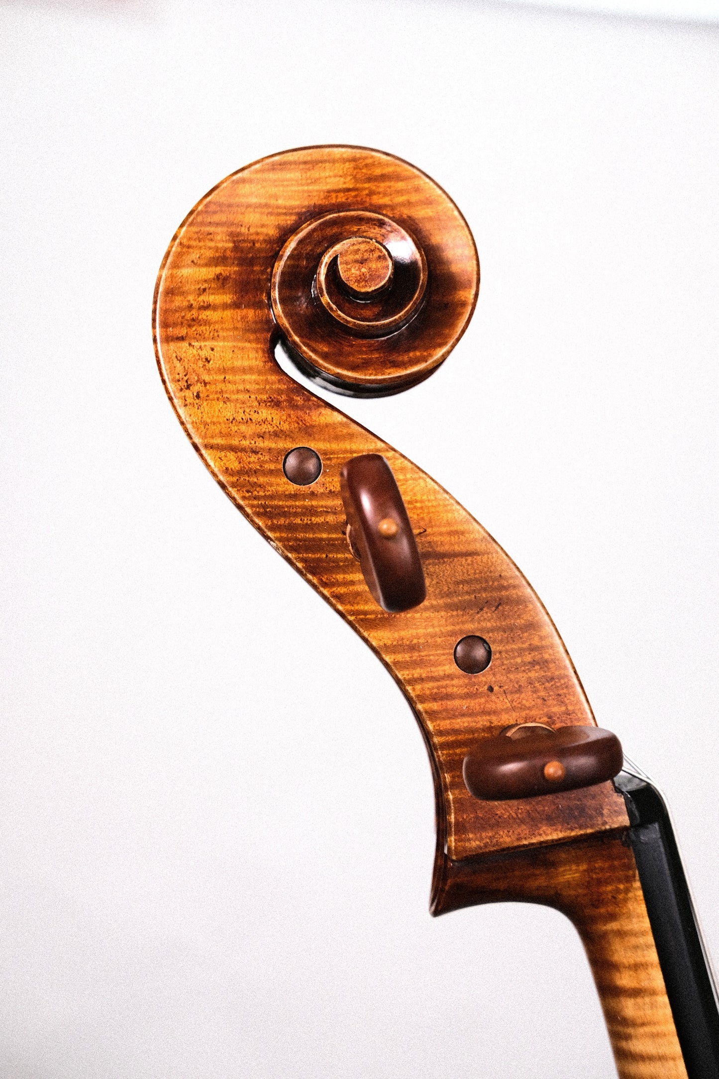 Raul Emiliani Cello - 4/4