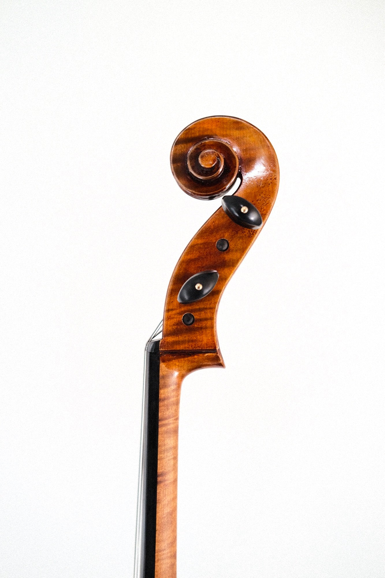 Eastman 30th Anniversary Cello - Montagnana w/Poplar Back R2201726