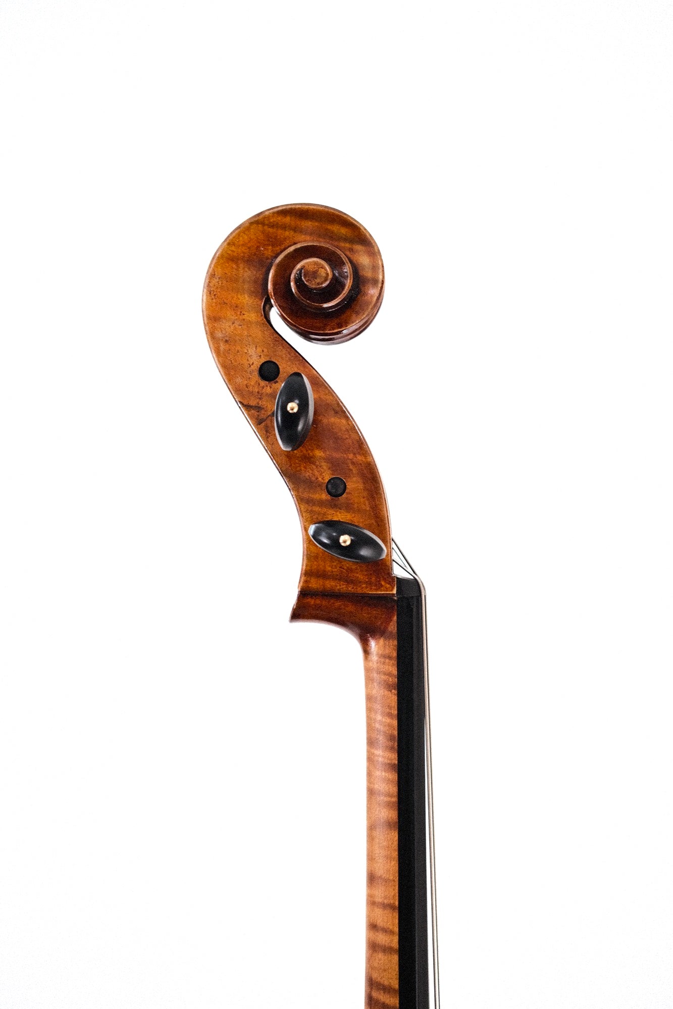 Eastman 30th Anniversary Cello - Montagnana w/Poplar Back R2201726