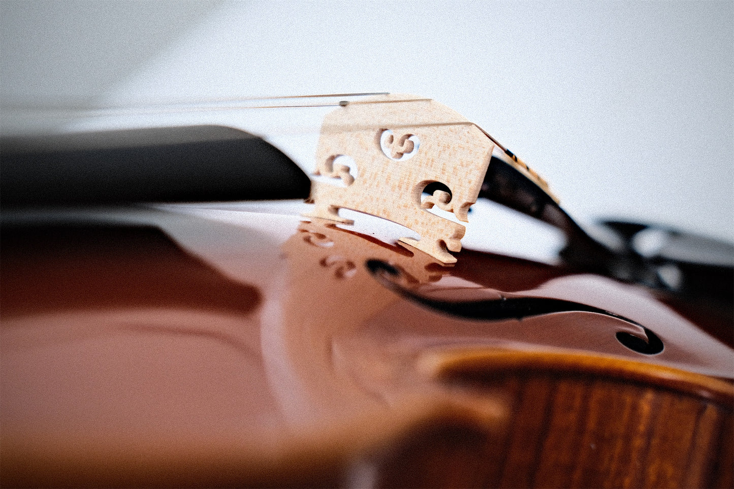Gliga Vasile Violin - 2019