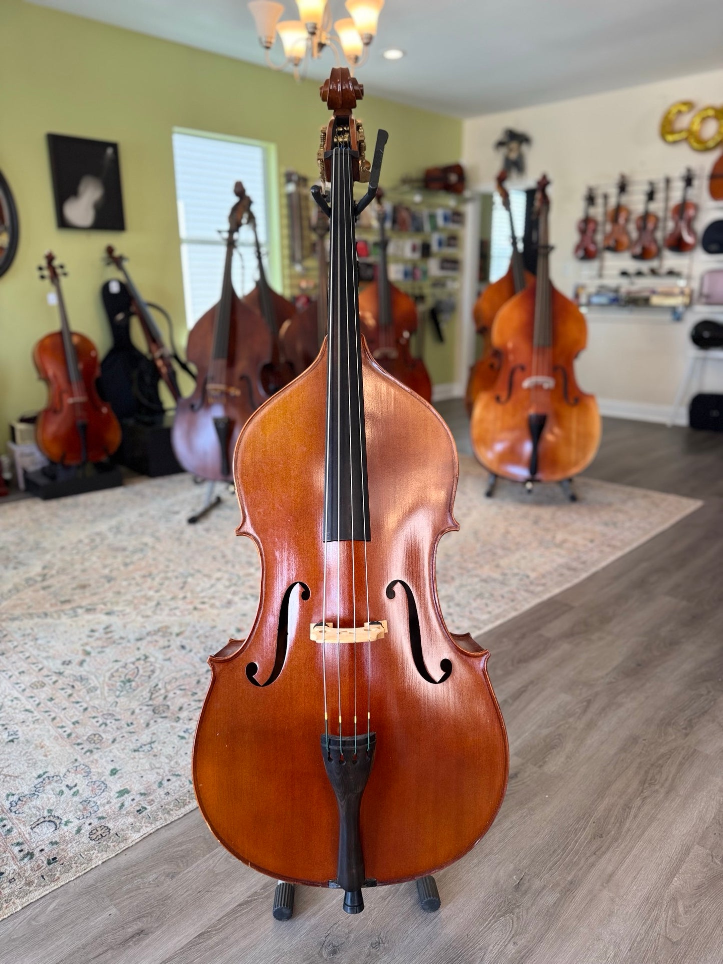 Baronne 3/4 or 1/2 Bass Outfit, Model 110