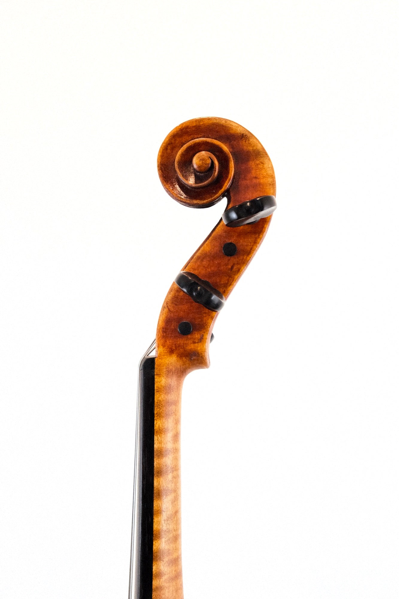 Jay Haide Maggini Viola 15 1/4"