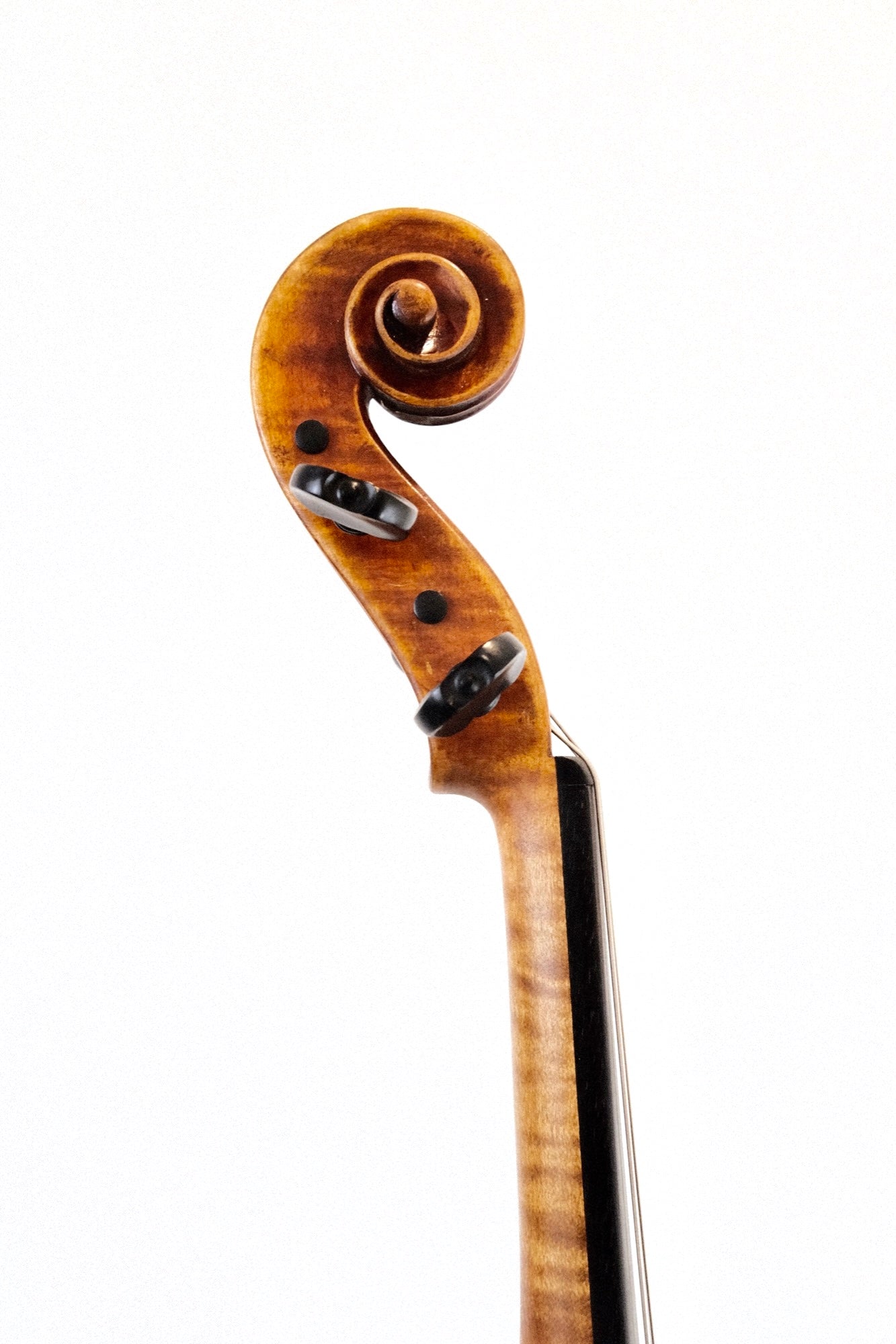 Jay Haide Maggini Viola 15 1/4"