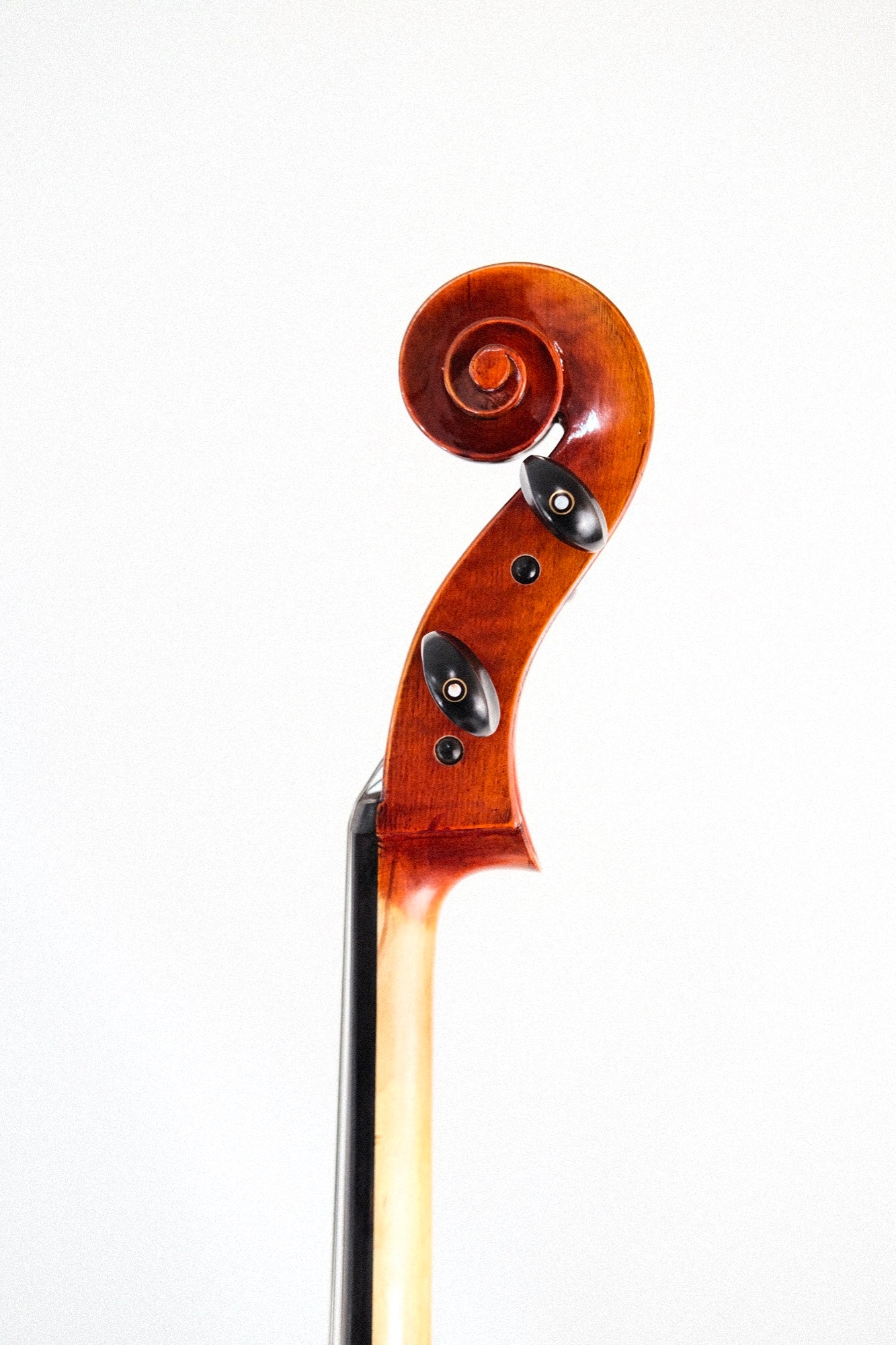 Johannes Kohr 4/4 Cello K515C