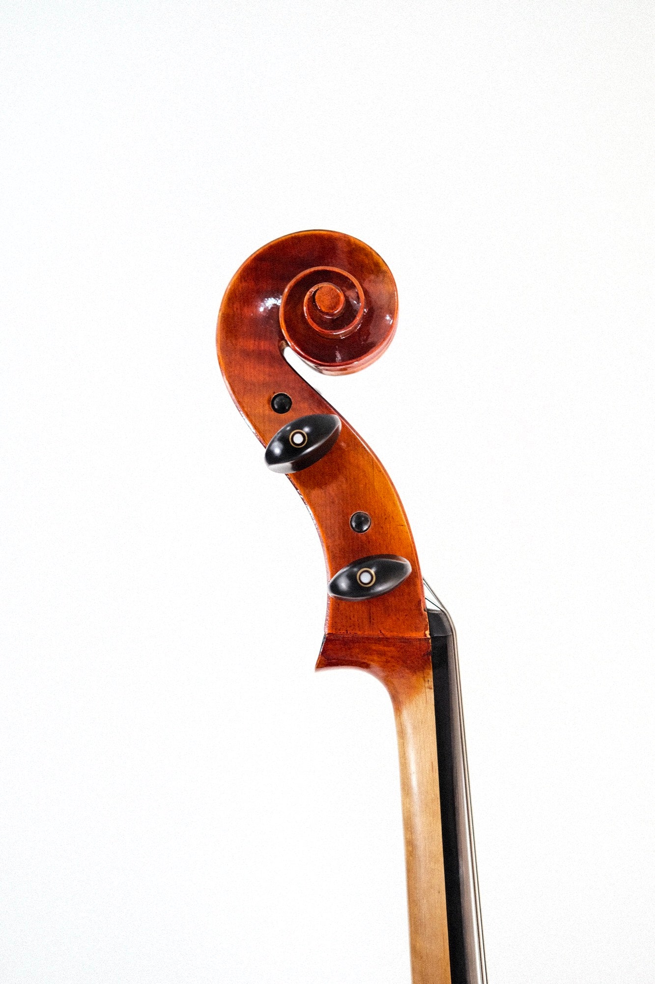 Johannes Kohr 4/4 Cello K515C