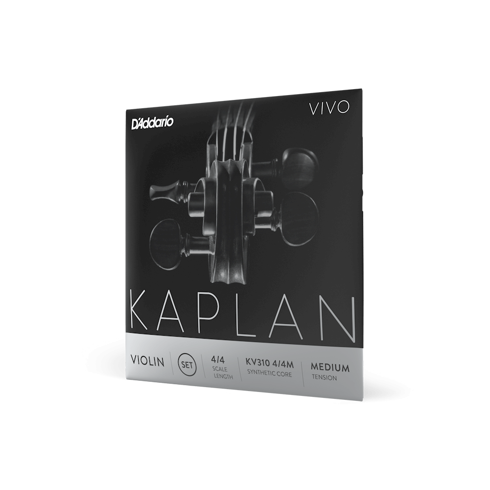 D'Addario Kaplan VIVO Violin Set - KV310 (Grey Package)