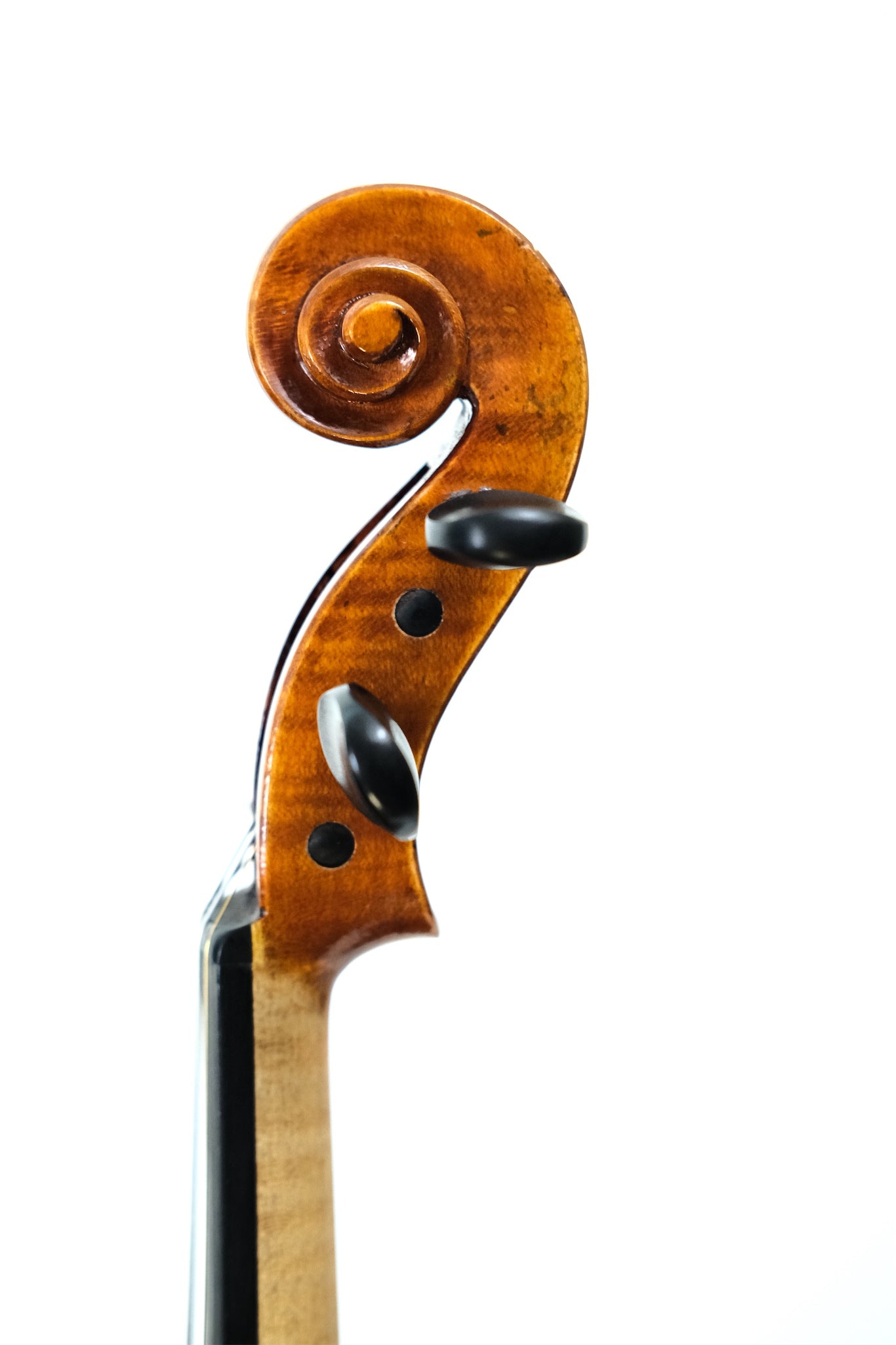 Albert Nebel Violin 2021 - 4/4