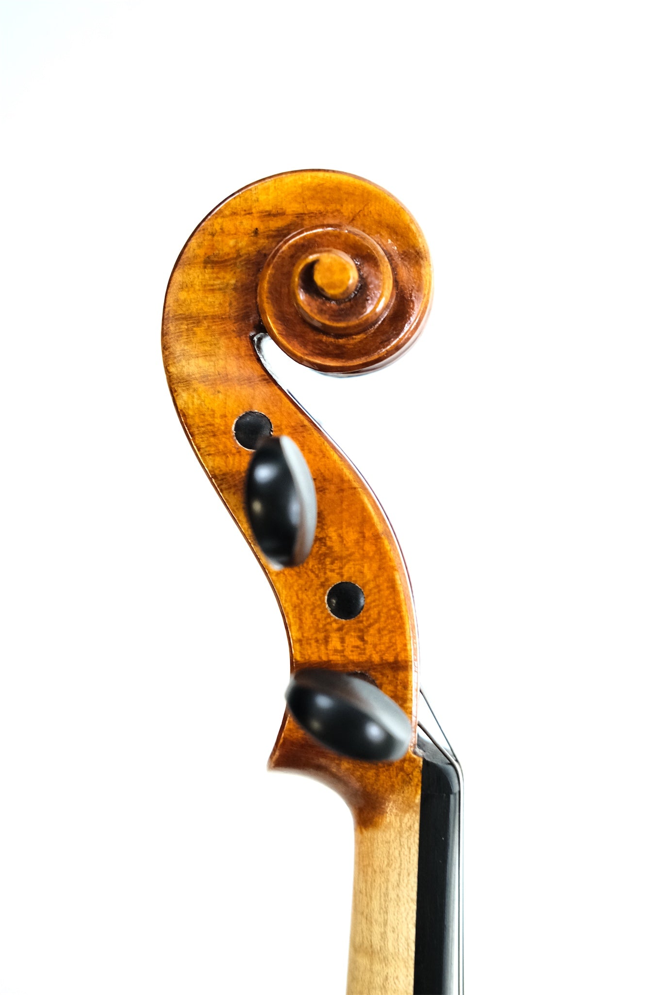 Albert Nebel Violin 2021 - 4/4