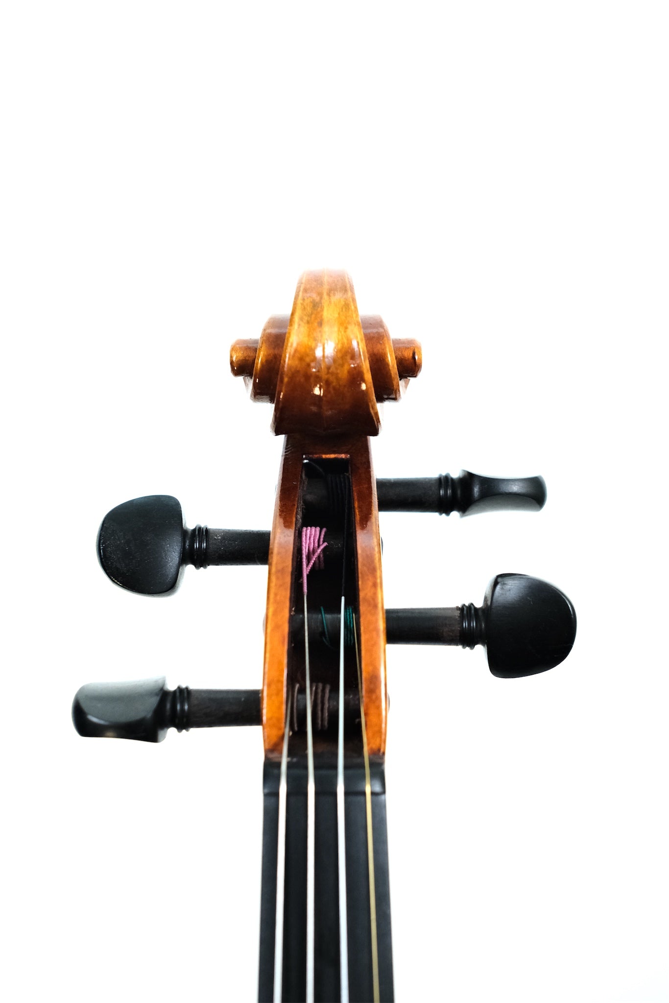 Albert Nebel Violin 2021 - 4/4