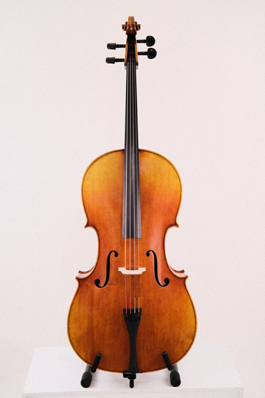 Novizio Cello 4/4 VC-SU521