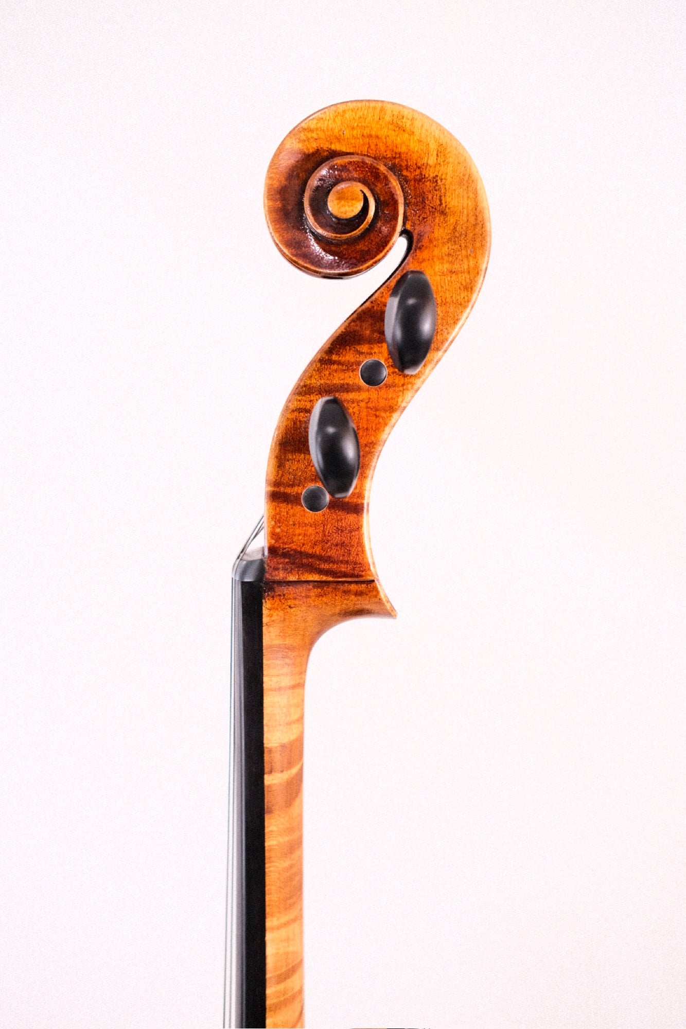 Rampart Cello 4/4