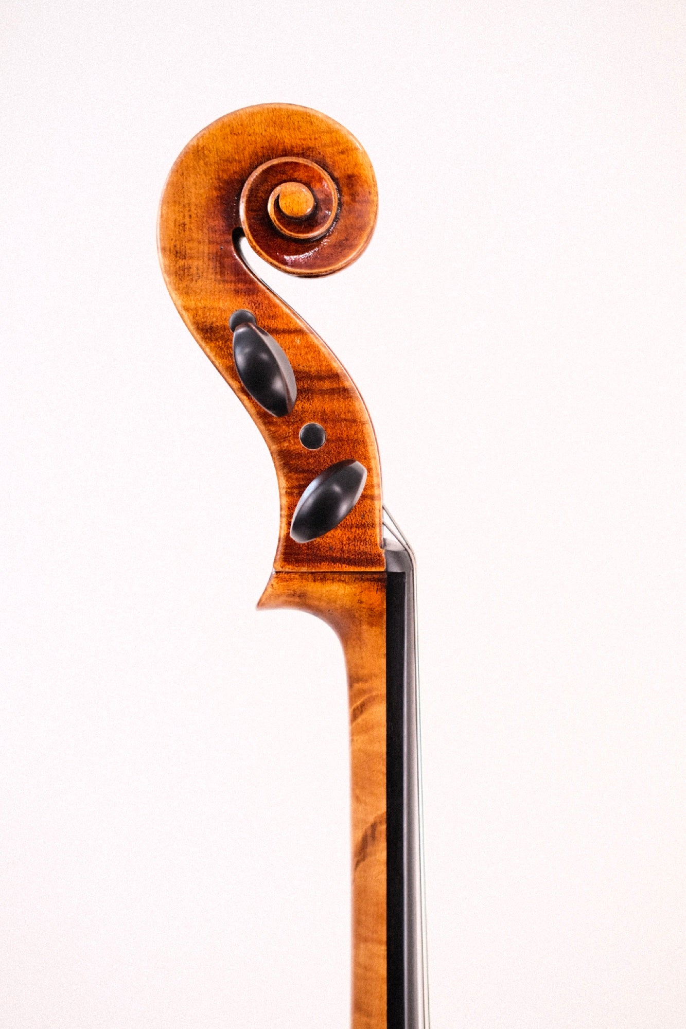 Rampart Cello 4/4
