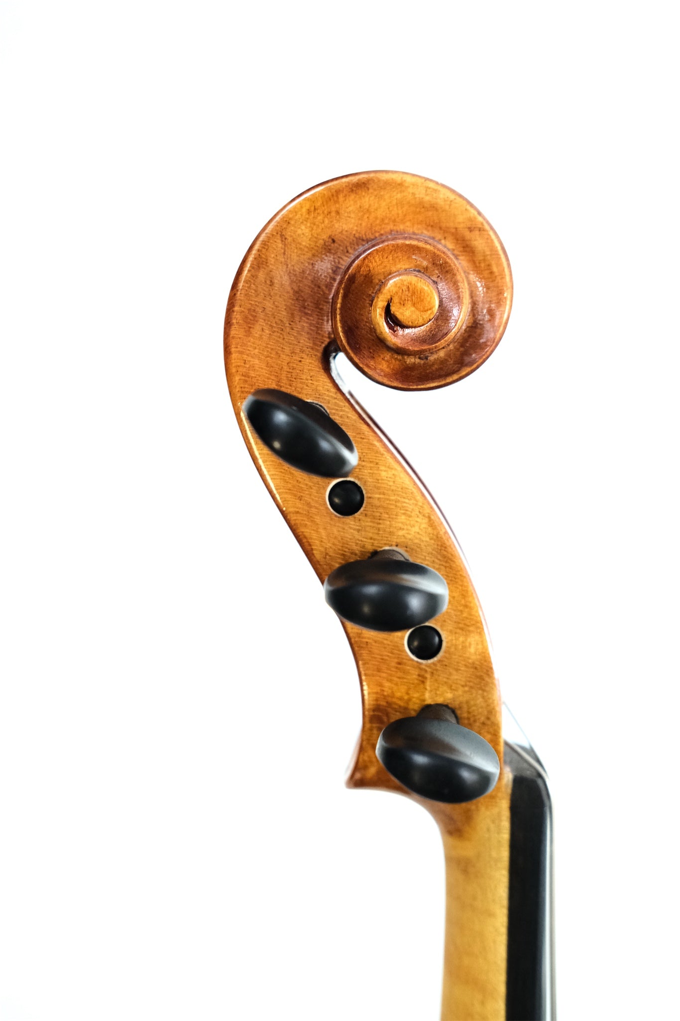 Soniat 5-String Violin Outfit - 4/4