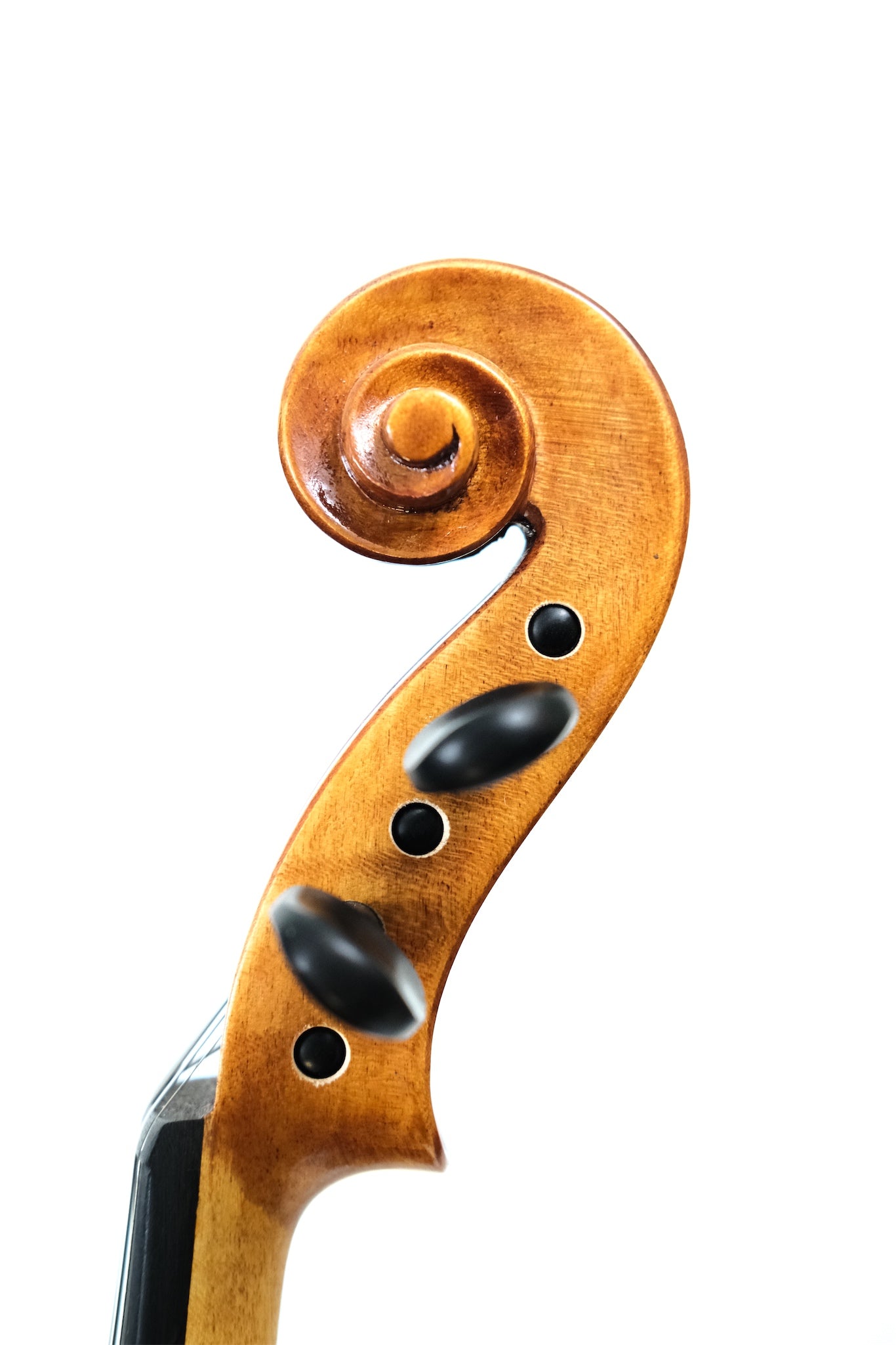 Soniat 5-String Violin Outfit - 4/4