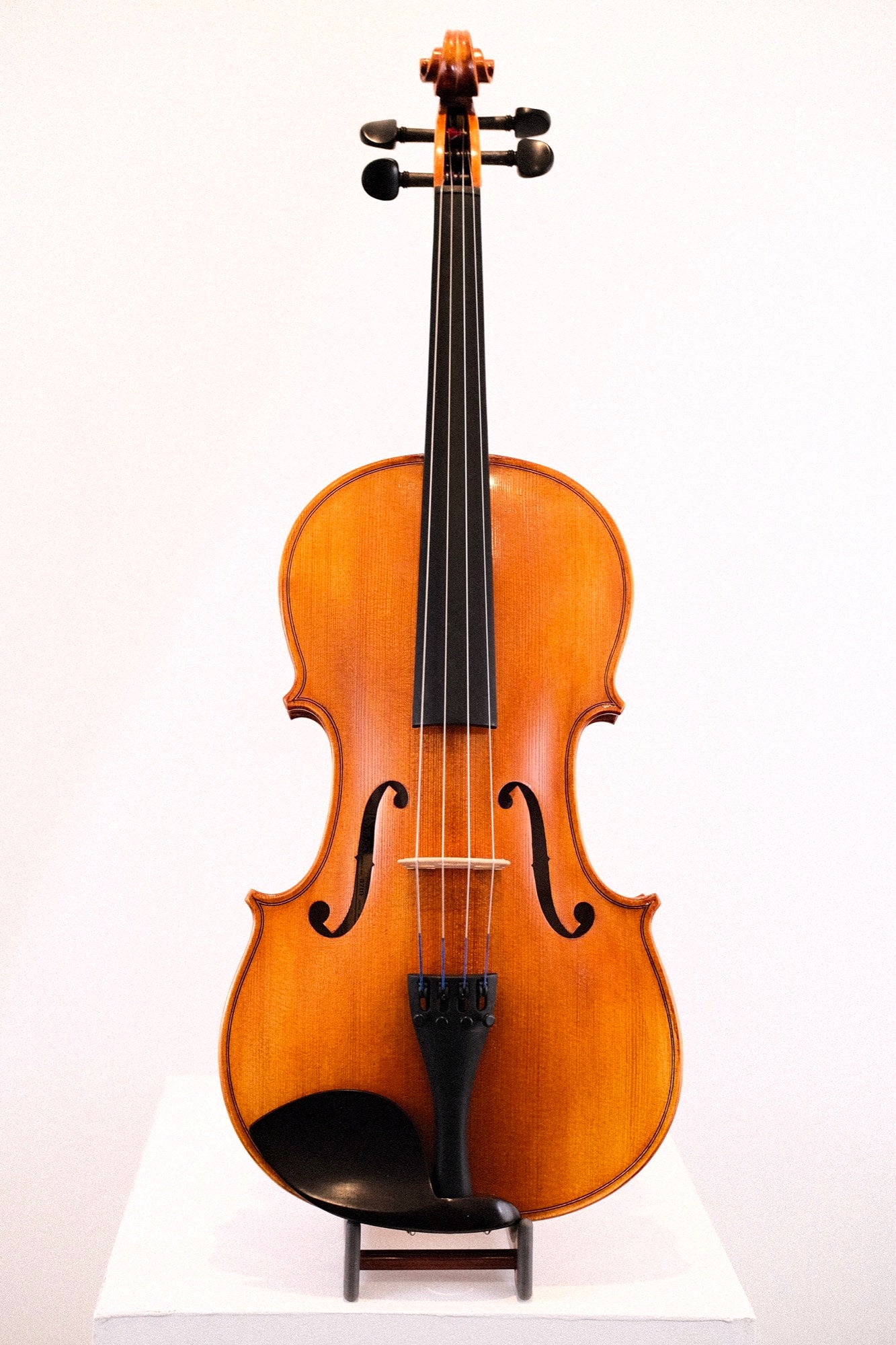 Soniat Viola Outfit