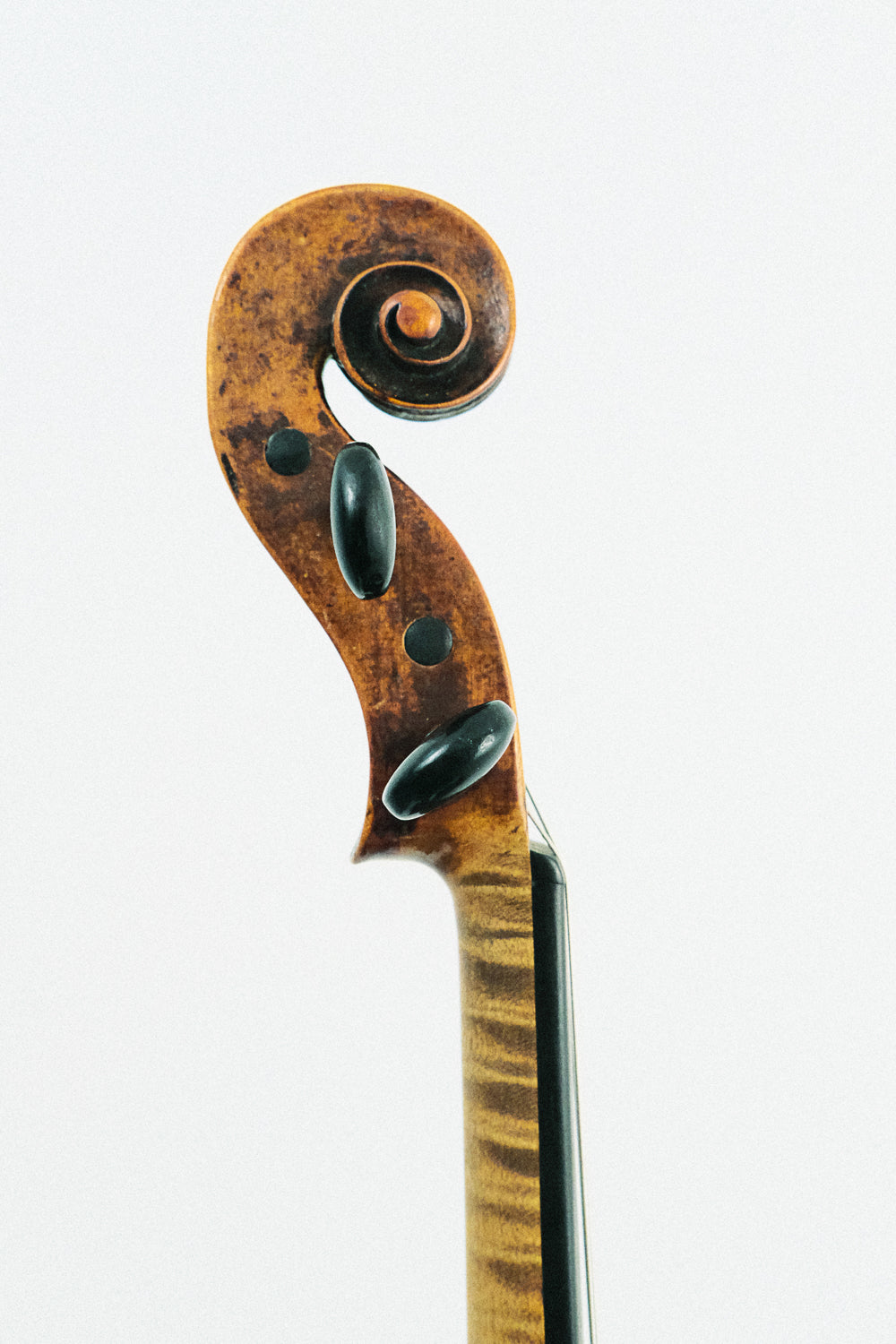 Violin labeled Johann Georg Thir - 1763