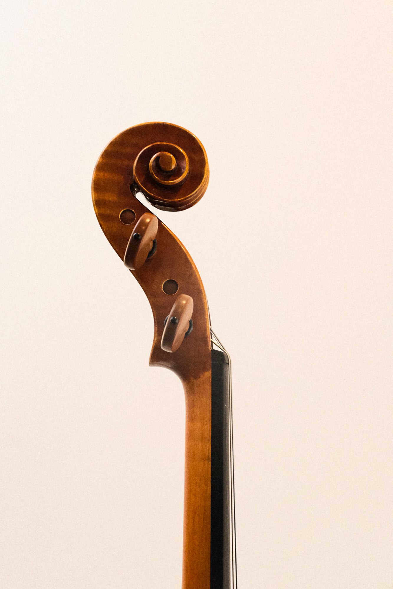 Yamaha Violin AV20 Outfit